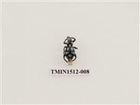 藏品(大圓斑球背象鼻蟲)的圖片